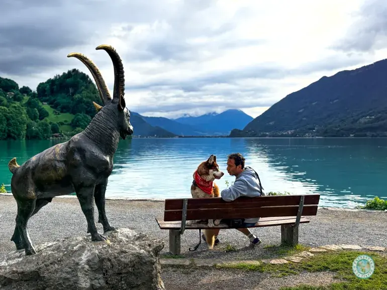 lago-brienz-que-ver-en-iseltwald