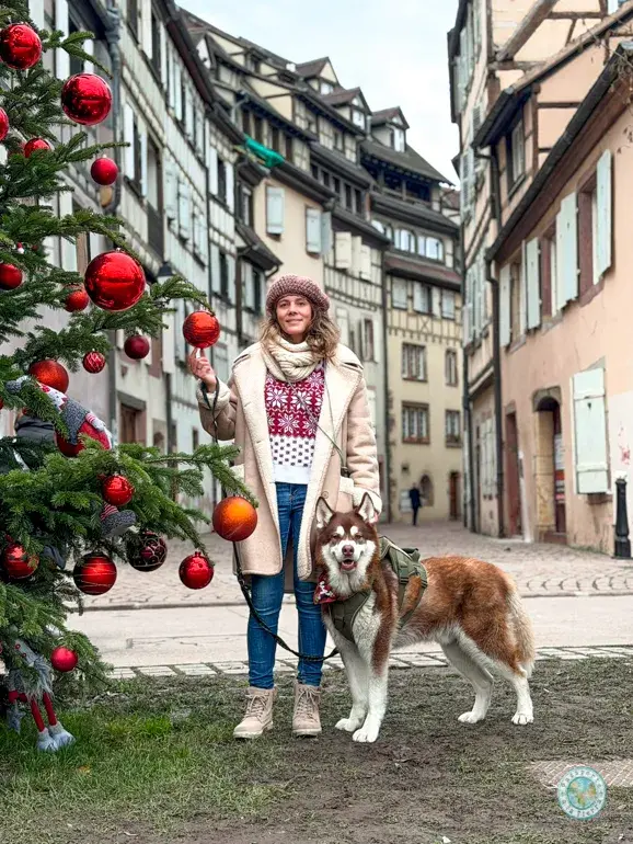 barrio-curtidores-des-tanneurs-que-ver-en-colmar