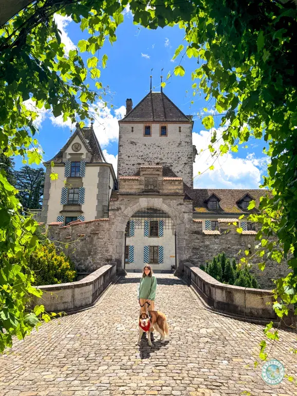 castillo-oberhofen-acceso