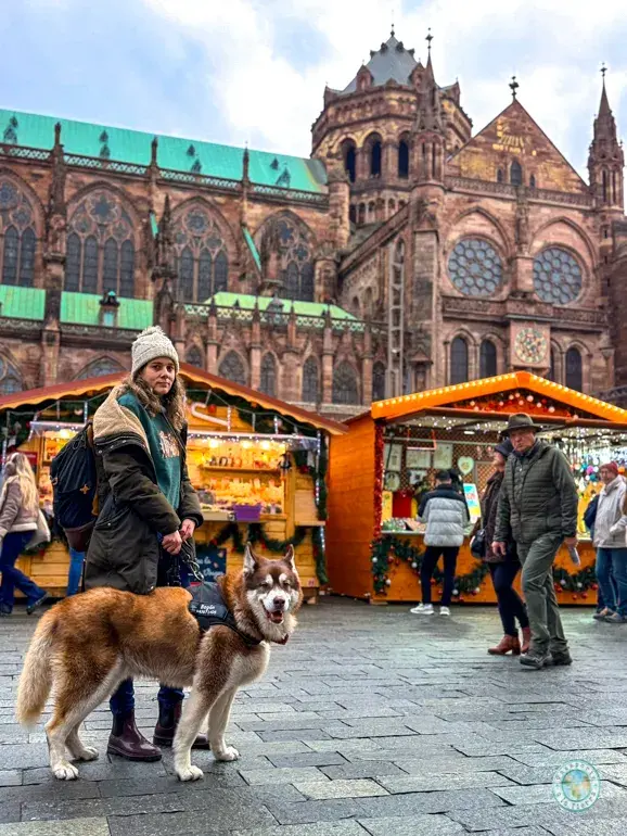 catedral-de-notre-dame-que-ver-en-estrasburgo