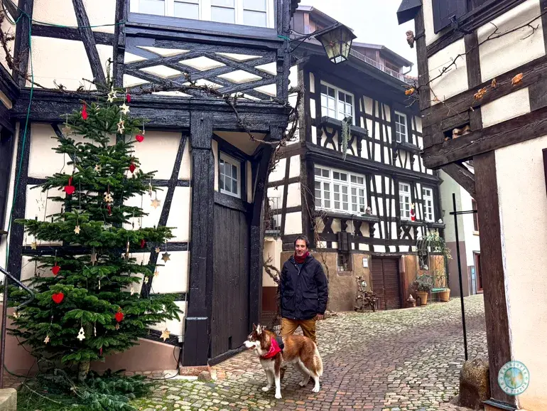 engelgasse-que-ver-en-gengenbach