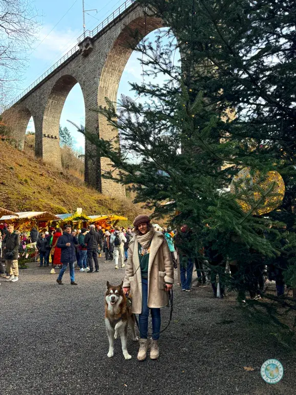 esther-y-bagan-mercado-navideño-de-ravennaschlucht