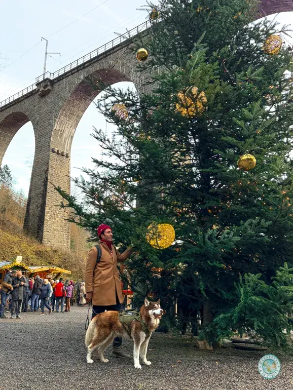 gran-arbol-navidad-selva-negra