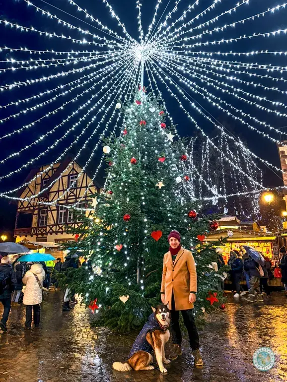 mercado-navideño-de-riquewihr