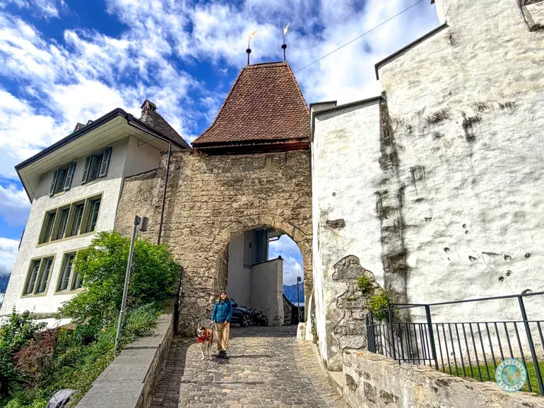 puerta-del-castillo-burgtor