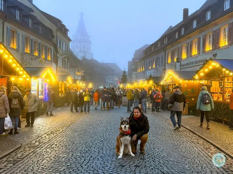 que-ver-en-gengenbach-en-navidad