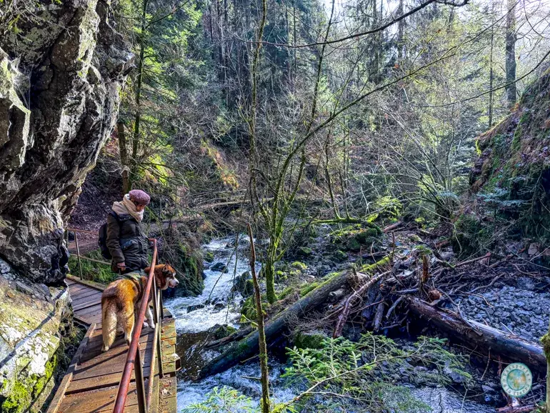 sendero-garganta-ravennaschlucht