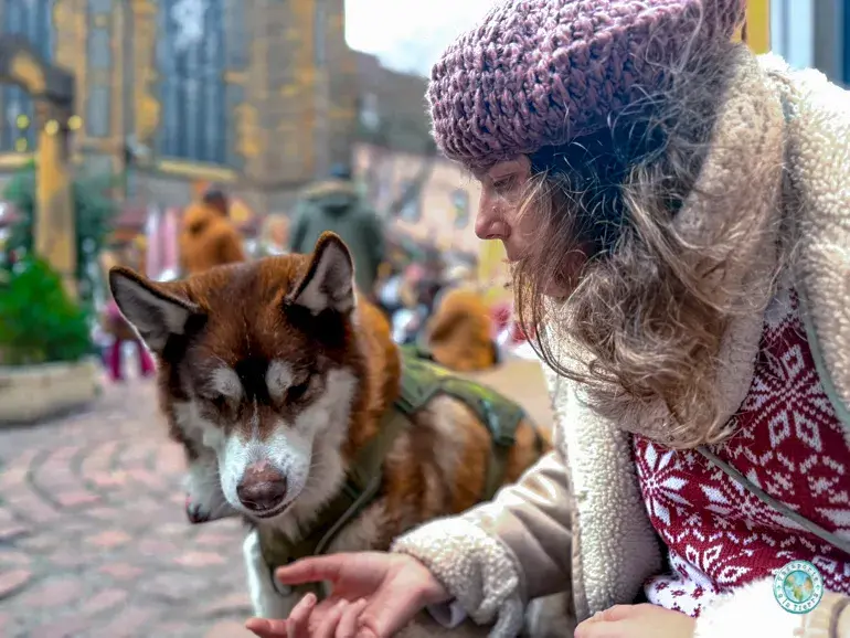 viajar-a-alsacia-con-perro