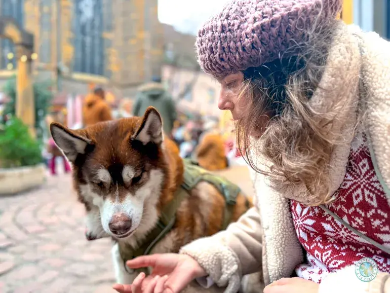 viajar-a-alsacia-con-perro