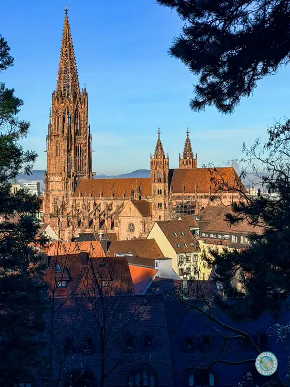catedral-que-ver-en-friburgo-de-brisgovia