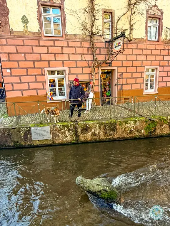 cocodrilo-friburgo