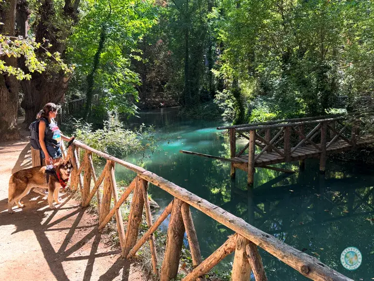 lago-de-los-patos