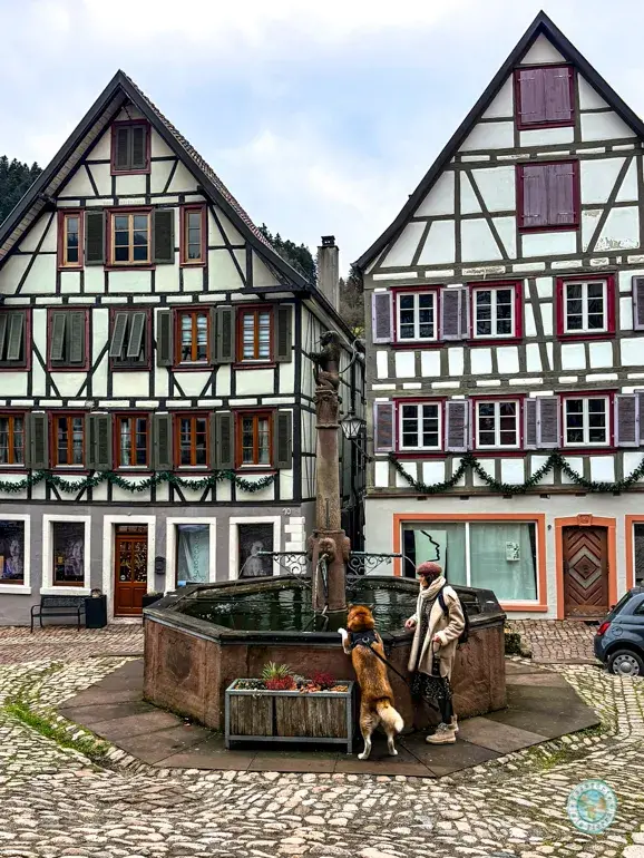 marktbrunnen-fuente-del-mercado
