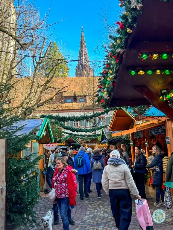 mercado-navideño-friburgo-vistas-catedral
