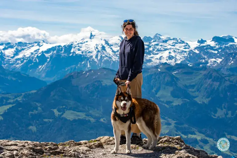 monte-pilatus-con-perro