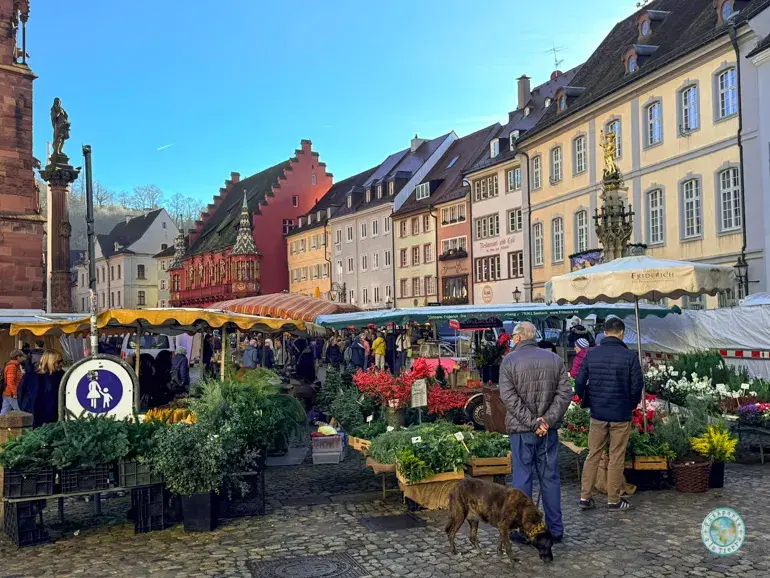 münstermarkt-que-ver-en-friburgo-de-brisgovia