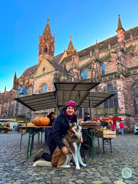 münsterplatz