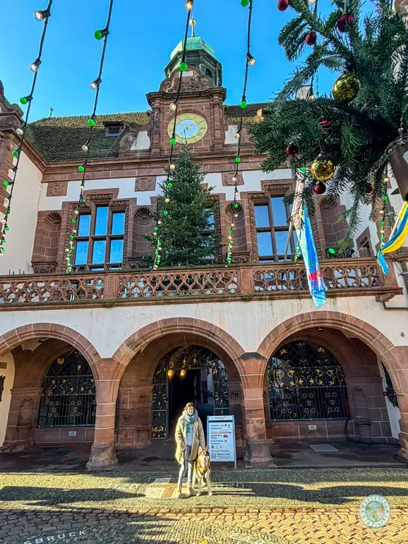 neues-rathaus