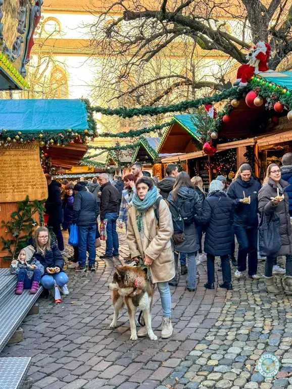 visitar-mercados-navideños-friburgo-con-perro